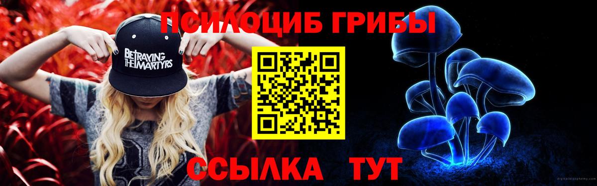 Галлюциногенные грибы Psilocybe Гагарин
